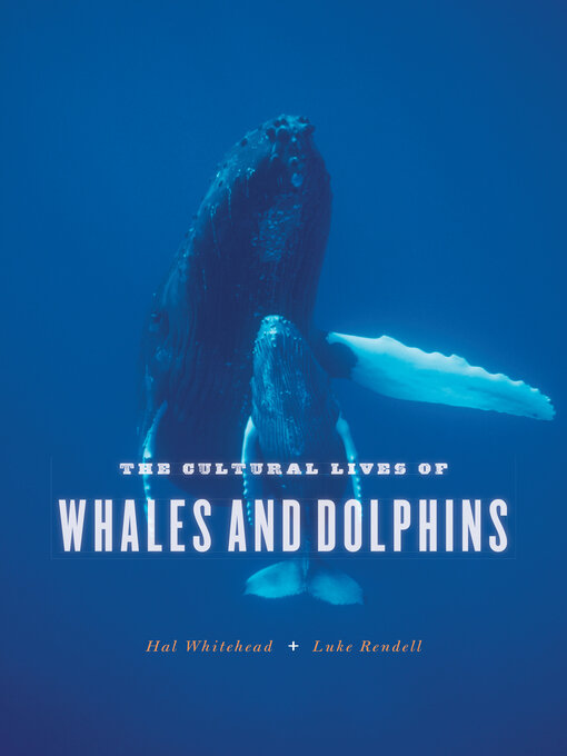 Title details for The Cultural Lives of Whales and Dolphins by Hal Whitehead - Available